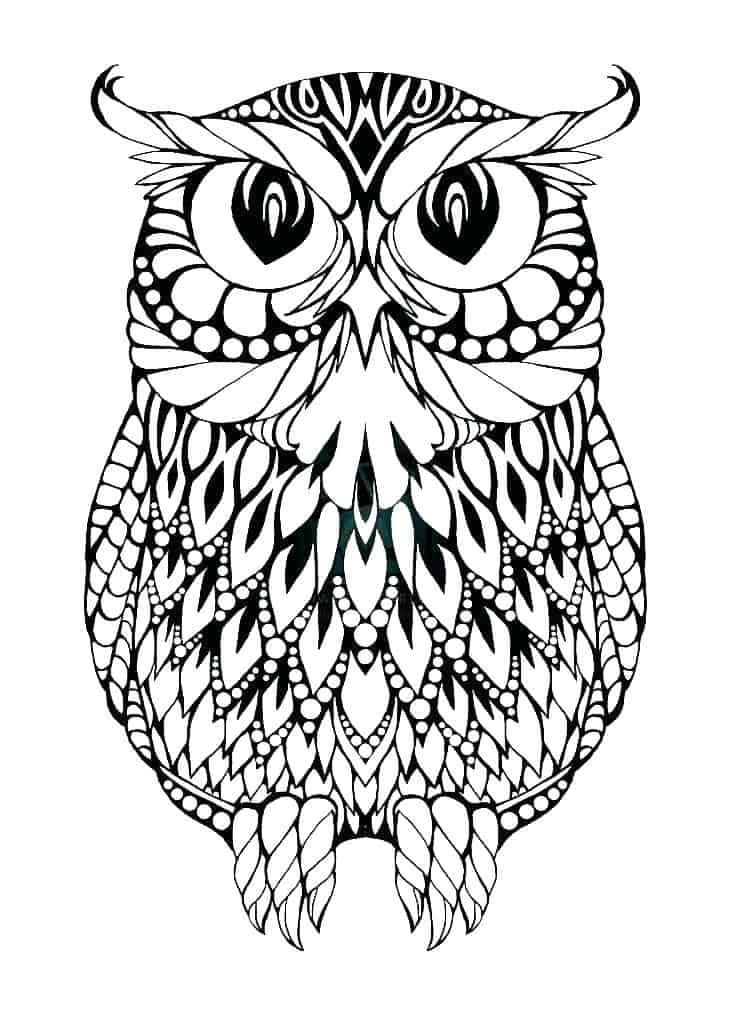 Free Printable Owl Coloring Pages