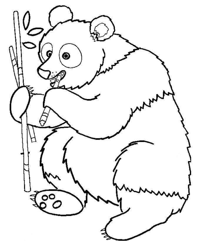 Free Printable Panda Coloring Pages