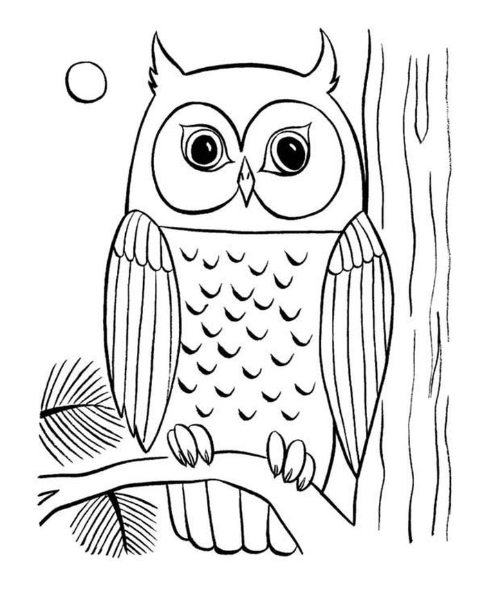 Harry Potter Owl Coloring Pages