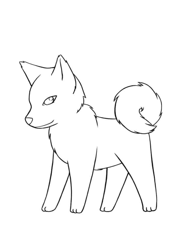 Husky Coloring Pages For Kids