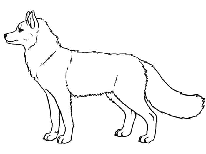 Husky Dog Coloring Pages To Print