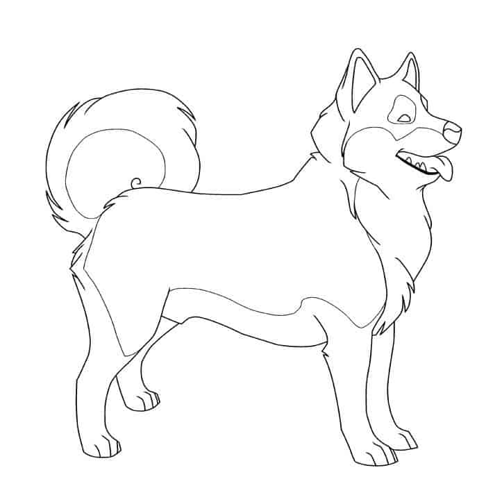 Husky Dog Coloring Pages