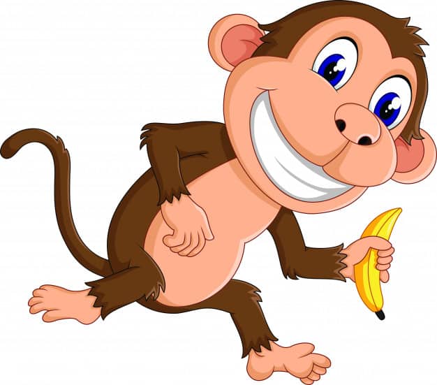 Monkey
