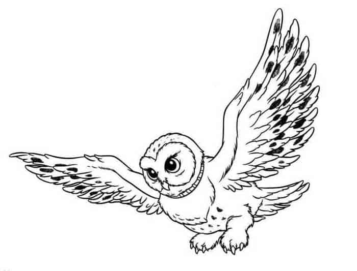 Owl Coloring Pages 2