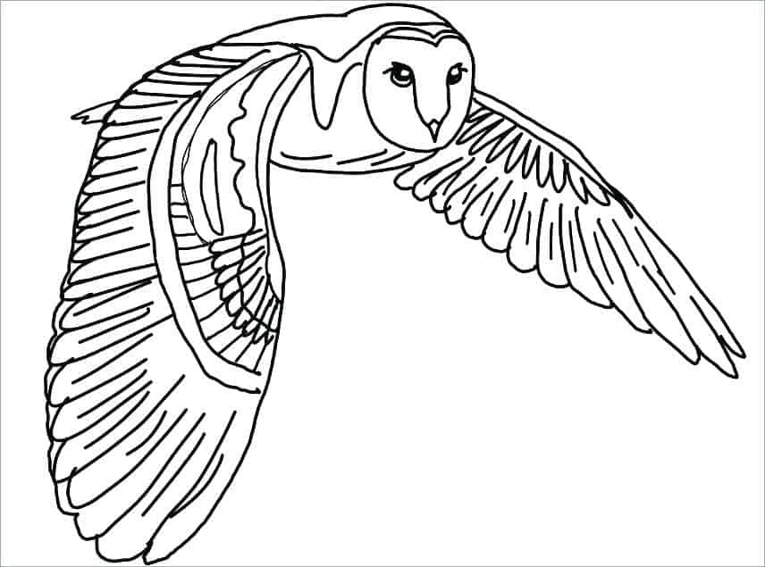 Owl Coloring Pages For Kids Printable