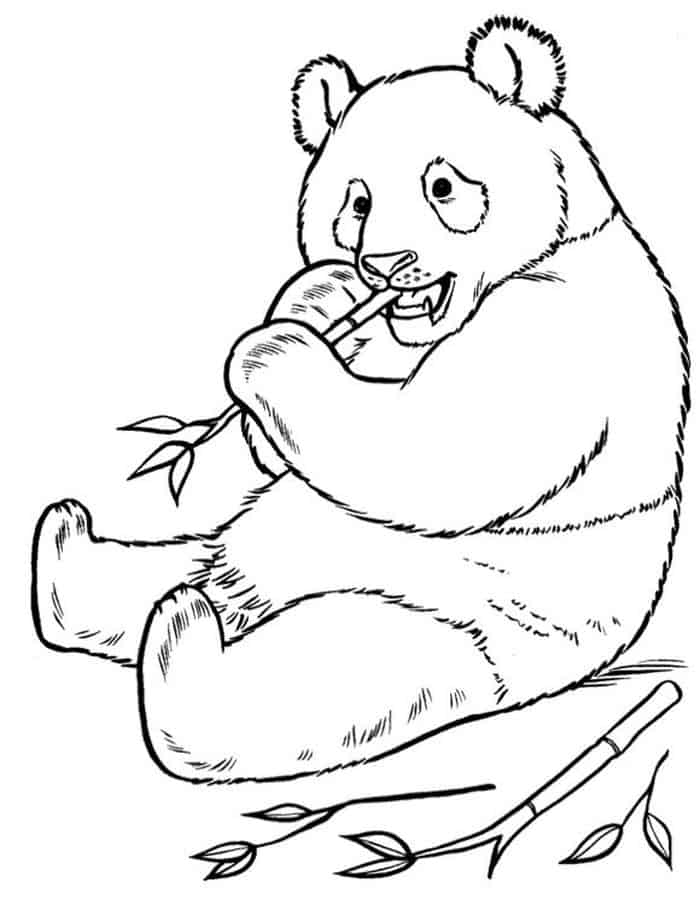 Panda Bear Coloring Pages