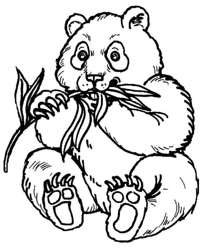 Panda Coloring Pages For Kids Printable