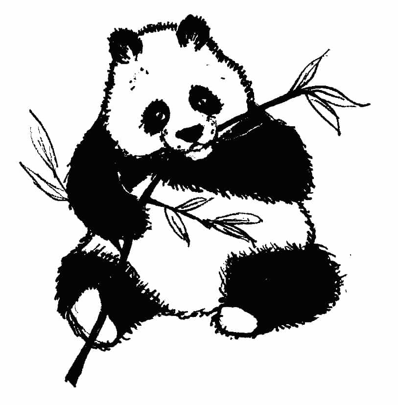 Panda Coloring Pages For Kids