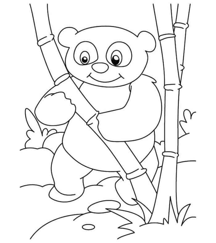 Panda Coloring Pages