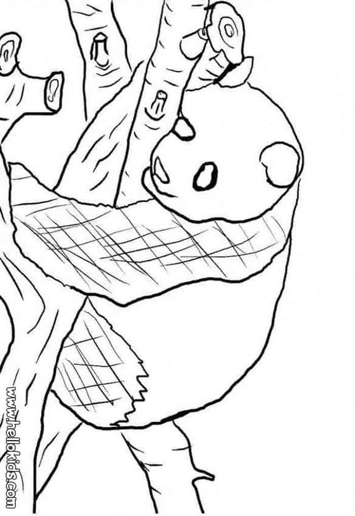 Panda Printable Coloring Pages