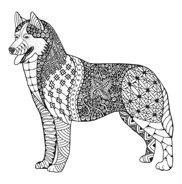 Pattern Coloring Pages Of Husky