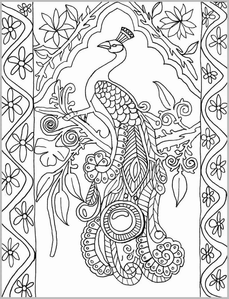 Peacock Coloring Pages Printable