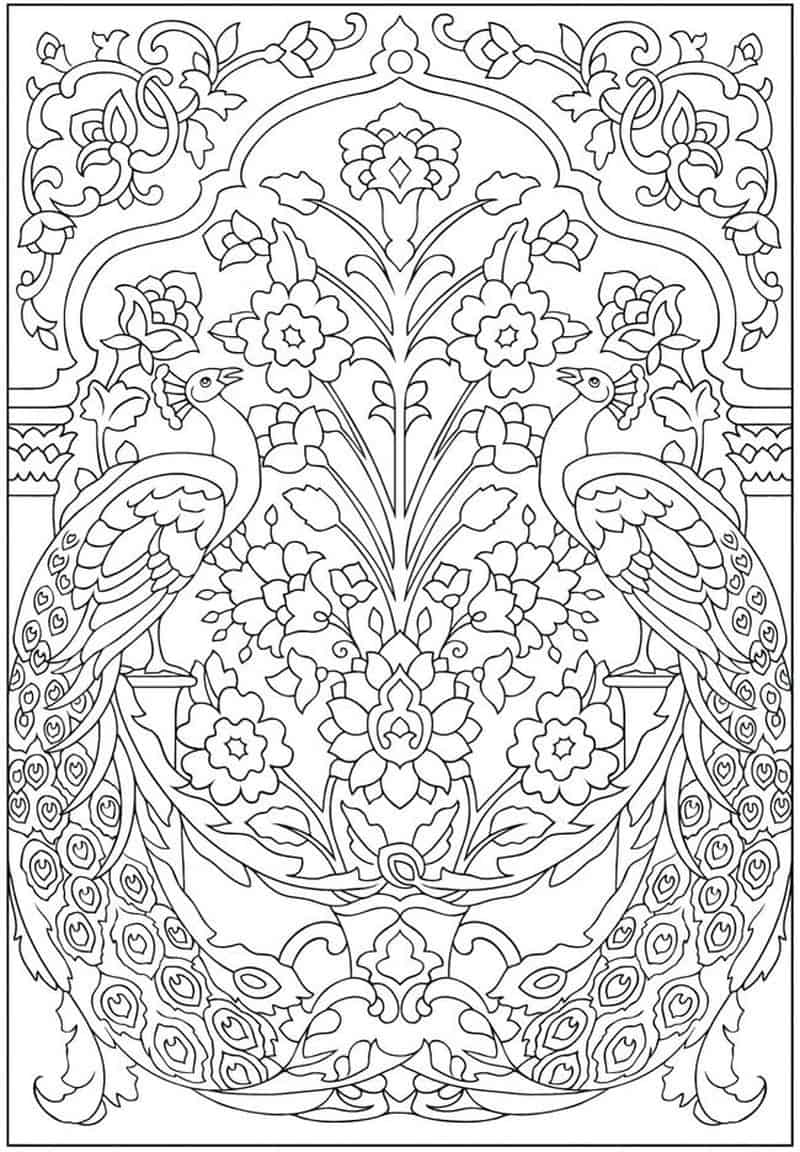 Peacock Feathers Coloring Pages