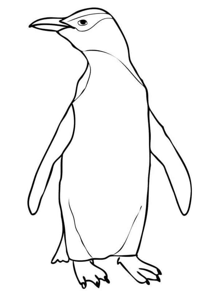 Penguin Coloring Pages Pdf