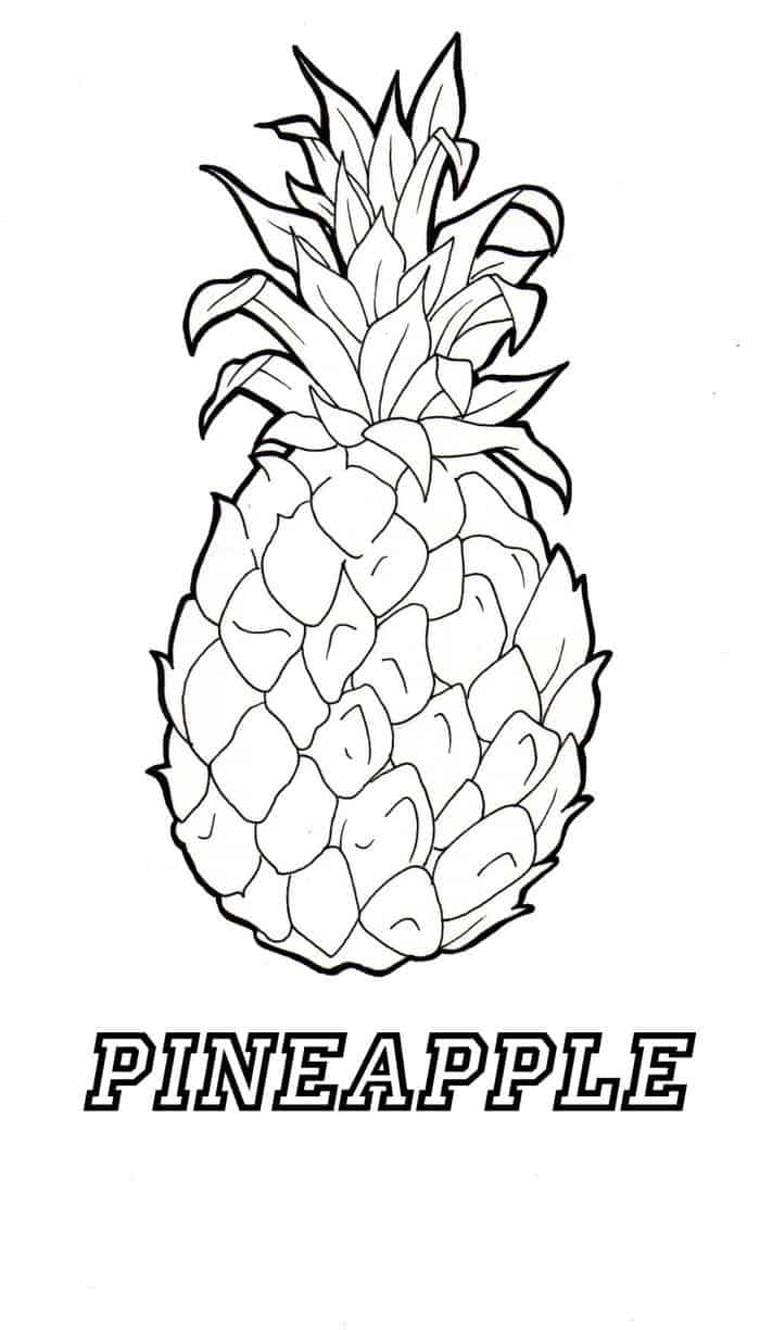 Pineapple Clip Art Coloring Pages