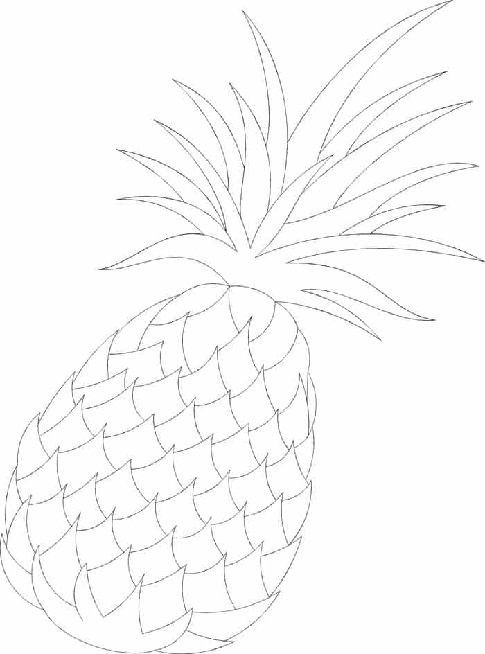 Pineapple Clipart Coloring Pages