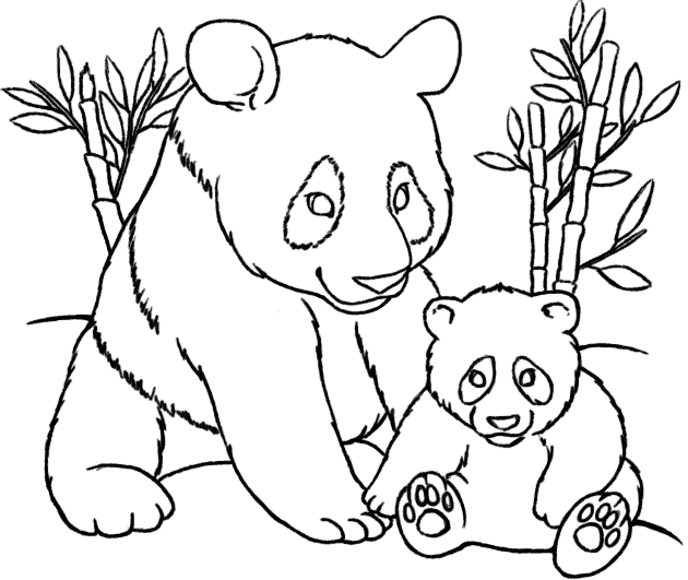 Red Panda Coloring Pages