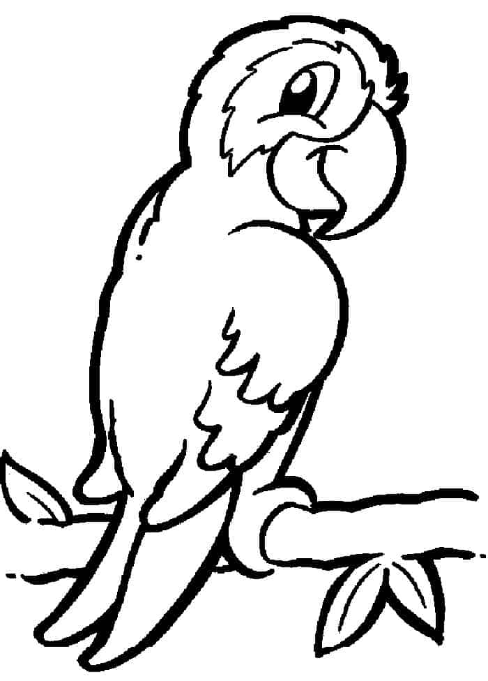 Sengle Parrot Coloring Pages