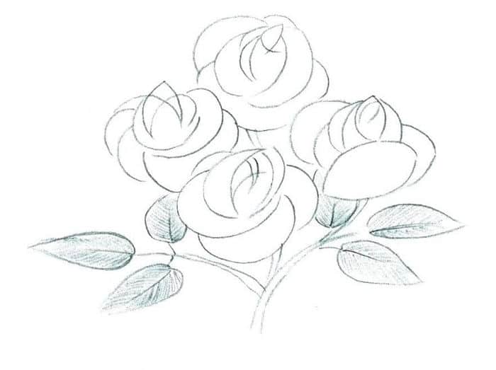 Tangled Flower Coloring Pages